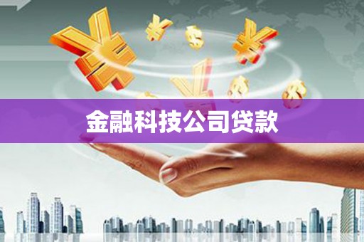 石楼金融科技公司贷款