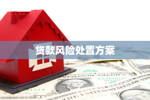 石楼贷款风险处置方案