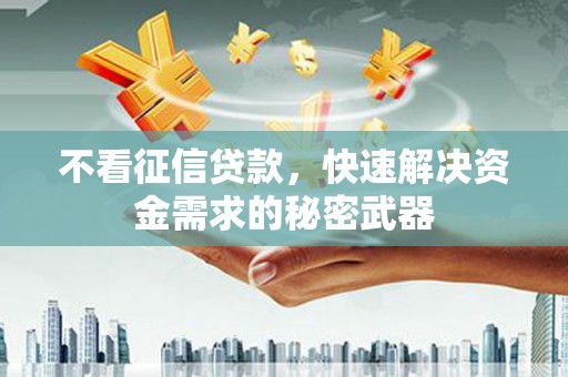 石楼不看征信贷款，快速解决资金需求的秘密武器