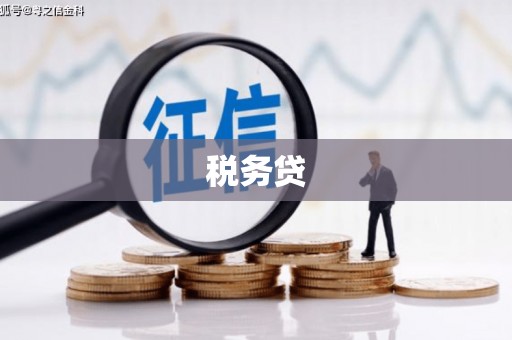 石楼税务贷