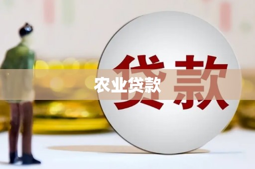 石楼农业贷款