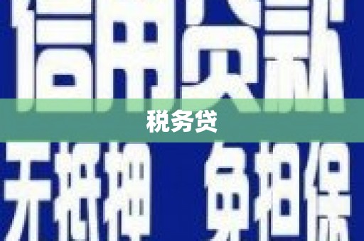 石楼税务贷