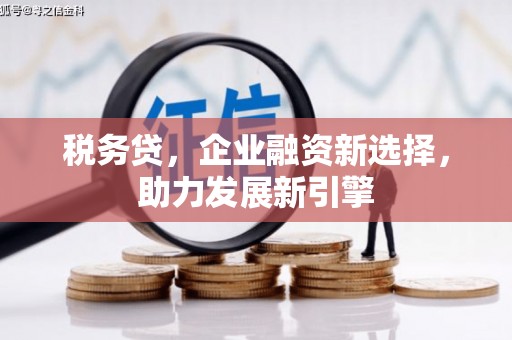 石楼税务贷，企业融资新选择，助力发展新引擎