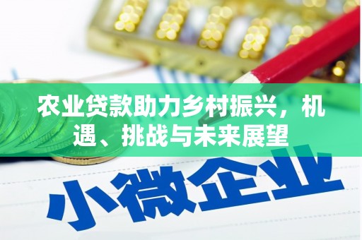 石楼农业贷款助力乡村振兴，机遇、挑战与未来展望