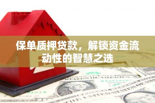 石楼保单质押贷款，解锁资金流动性的智慧之选