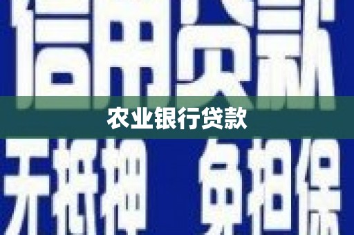 石楼农业银行贷款
