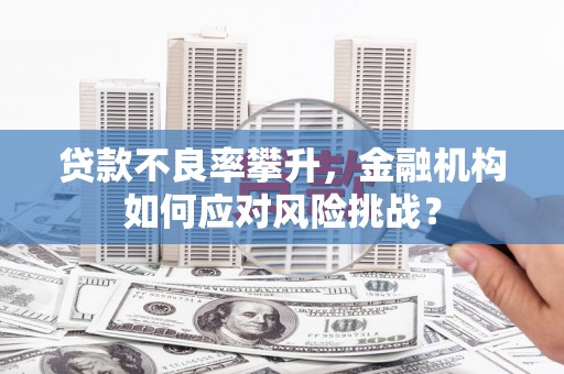 石楼贷款不良率攀升，金融机构如何应对风险挑战？