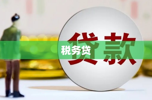 石楼税务贷