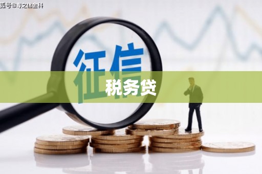 石楼税务贷