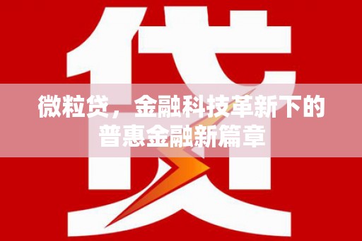 石楼微粒贷，金融科技革新下的普惠金融新篇章