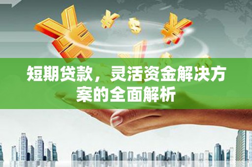 石楼短期贷款，灵活资金解决方案的全面解析