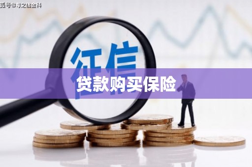 石楼贷款购买保险