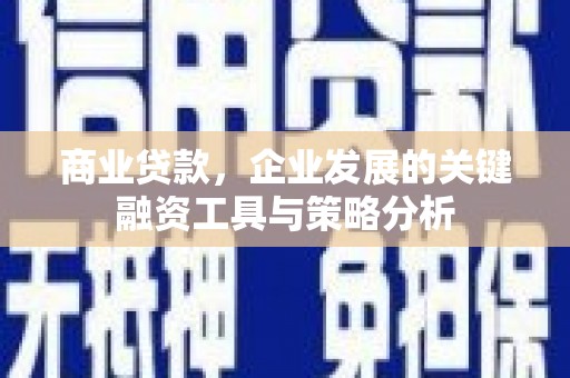 石楼商业贷款，企业发展的关键融资工具与策略分析