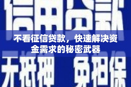 石楼不看征信贷款，快速解决资金需求的秘密武器