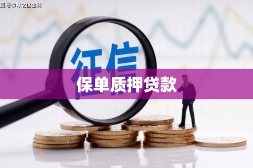 石楼保单质押贷款