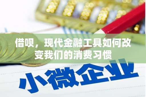 石楼借呗，现代金融工具如何改变我们的消费习惯