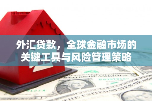 石楼外汇贷款，全球金融市场的关键工具与风险管理策略