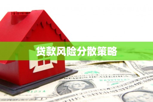 石楼贷款风险分散策略