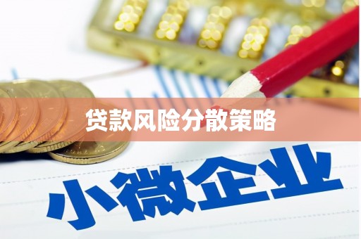 石楼贷款风险分散策略