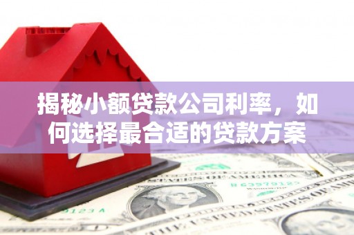 石楼揭秘小额贷款公司利率，如何选择最合适的贷款方案