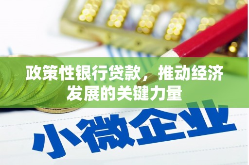 石楼政策性银行贷款，推动经济发展的关键力量