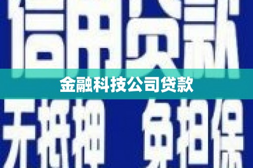石楼金融科技公司贷款