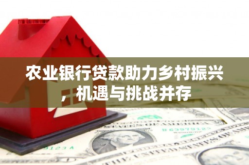 石楼农业银行贷款助力乡村振兴，机遇与挑战并存