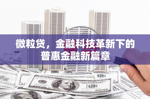 石楼微粒贷，金融科技革新下的普惠金融新篇章