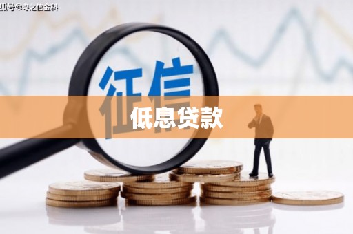 石楼低息贷款