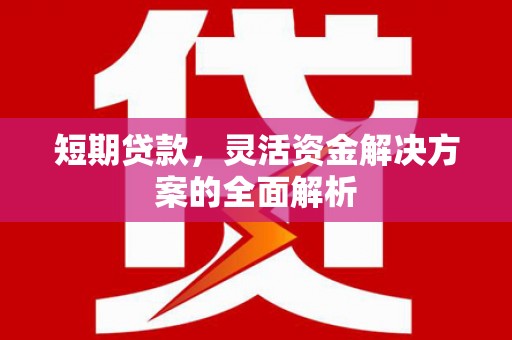 石楼短期贷款，灵活资金解决方案的全面解析