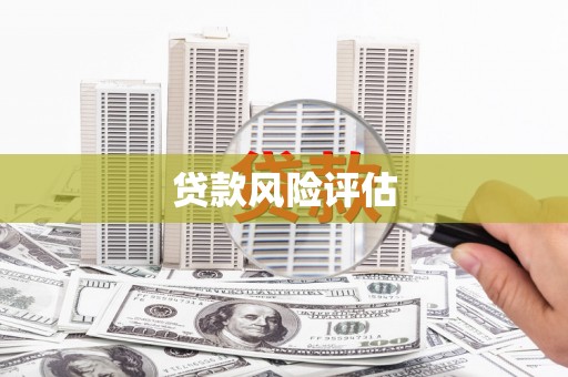 石楼贷款风险评估