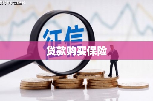 石楼贷款购买保险