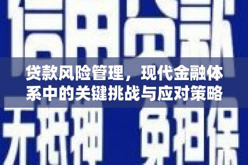 石楼贷款风险管理，现代金融体系中的关键挑战与应对策略