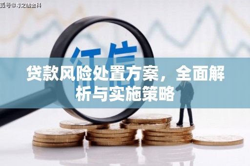 石楼贷款风险处置方案，全面解析与实施策略
